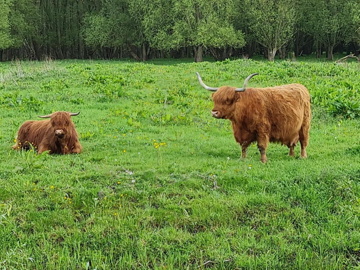 Prinsenbed Leeuwarden Dış mekan fotoğraf